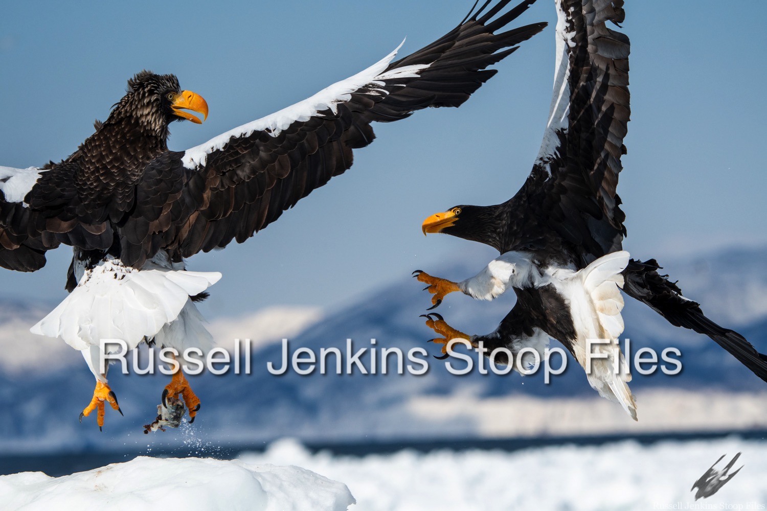 March GosRuss-11.jpg