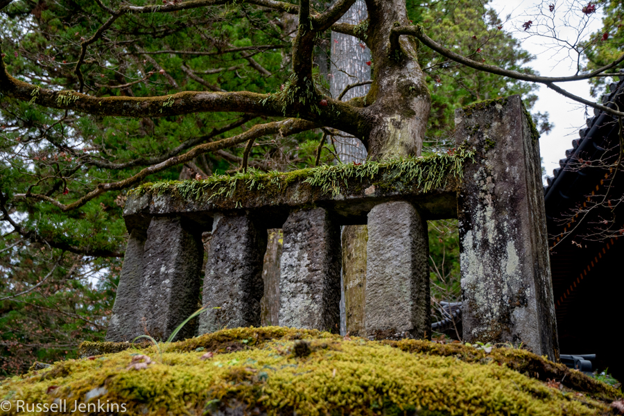 _RUS9843-1Nikko_.jpg
