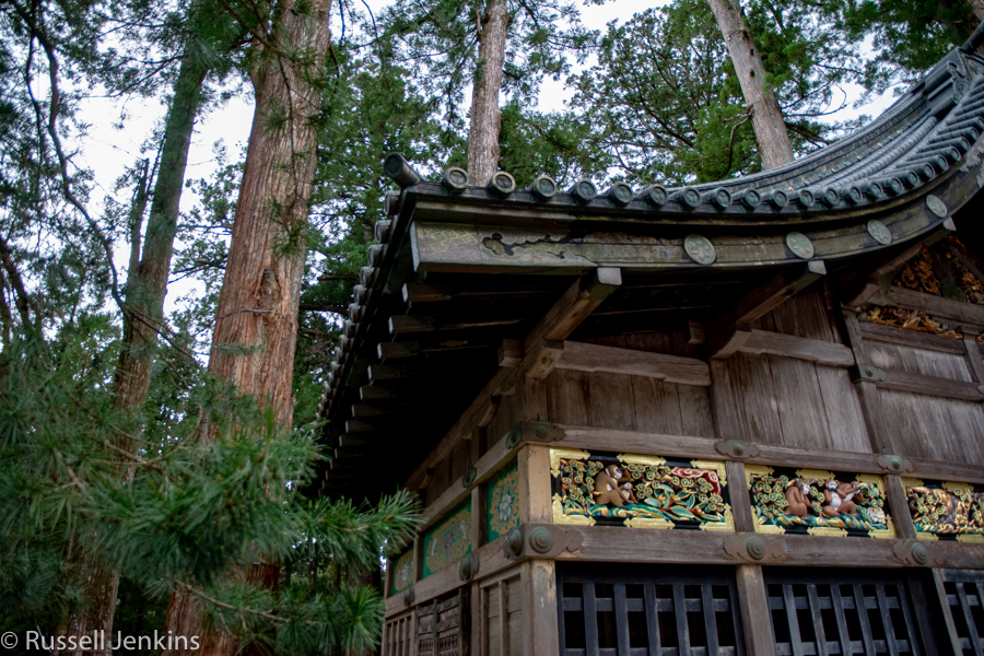 _RUS9864-1Nikko_.jpg