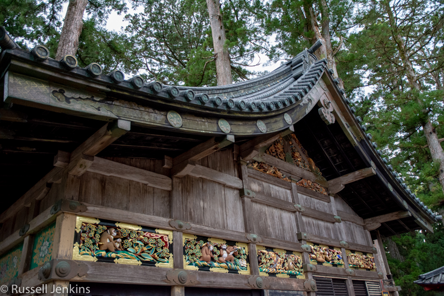 _RUS9863-1Nikko_.jpg