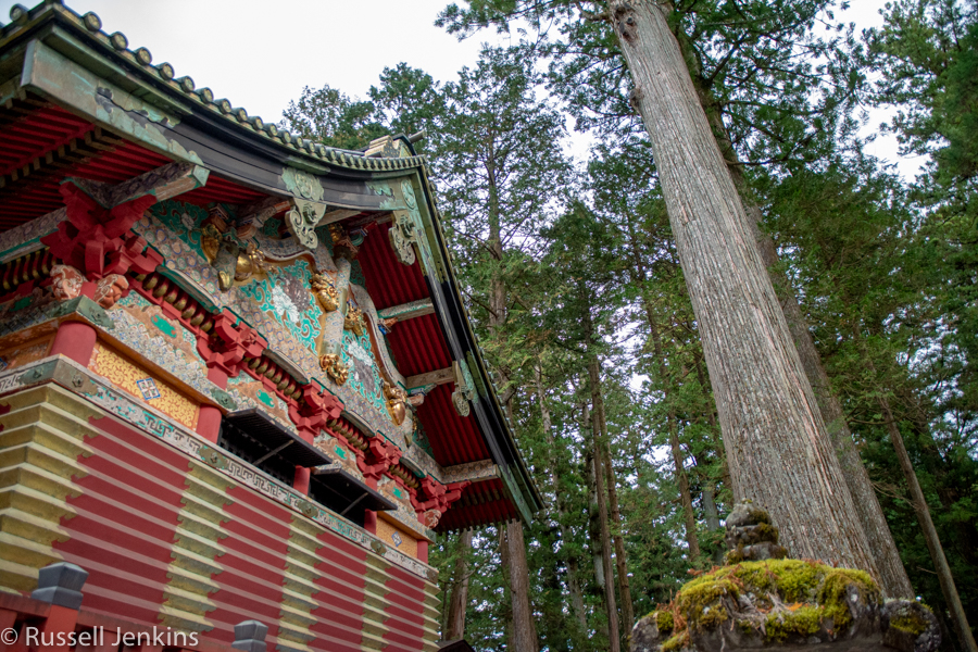 _RUS9856-1Nikko_.jpg