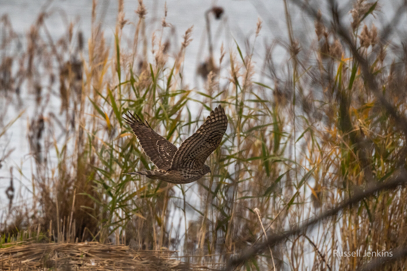 Hyoko, Niigata, Japan