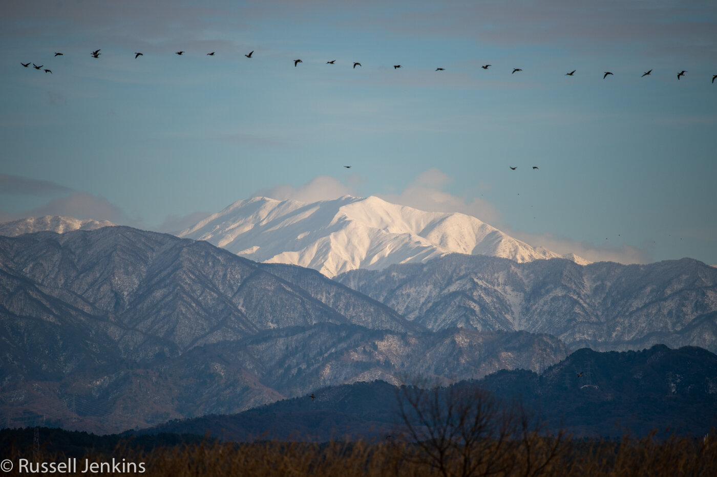 Fine day-1-3.jpg