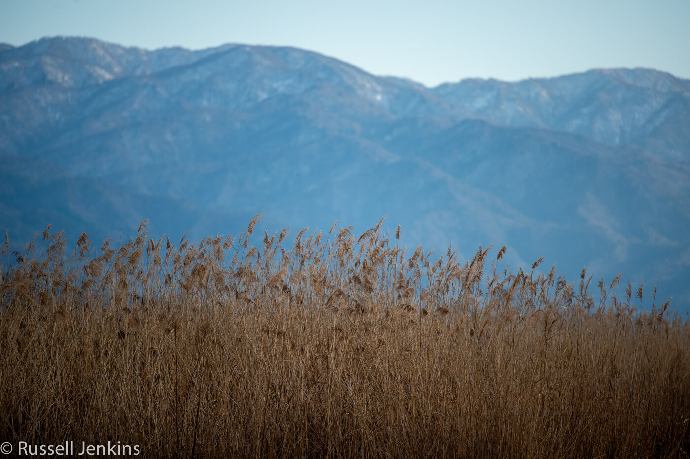 Fine day-1-19.jpg
