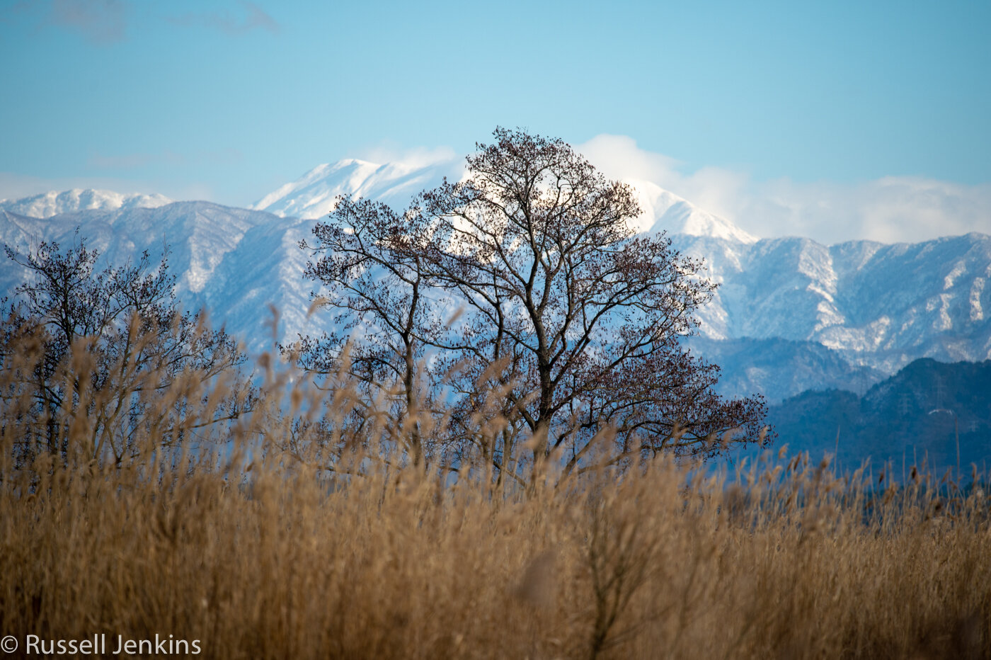 Fine day-1-15.jpg