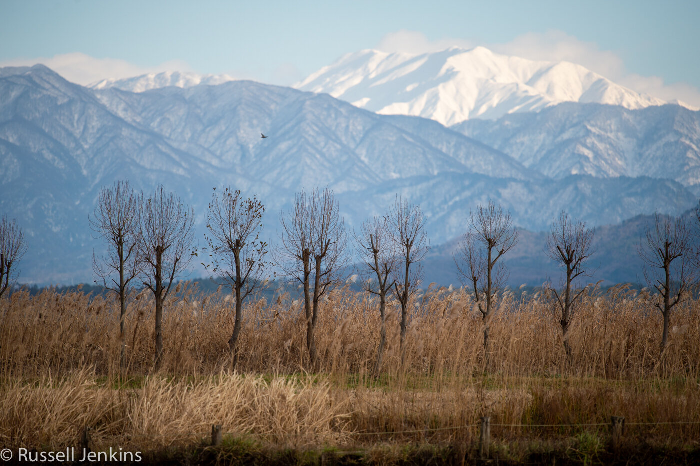 Fine day-1-6.jpg