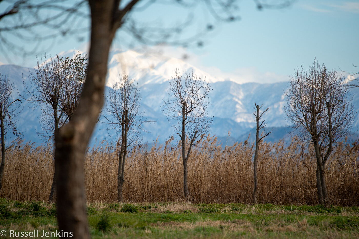Fine day-1-9.jpg