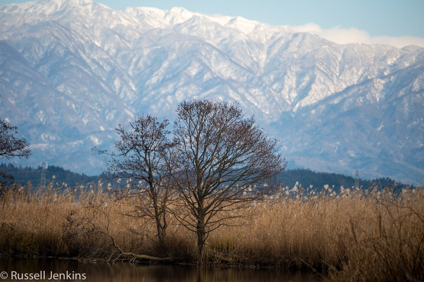 Fine day-1-17.jpg