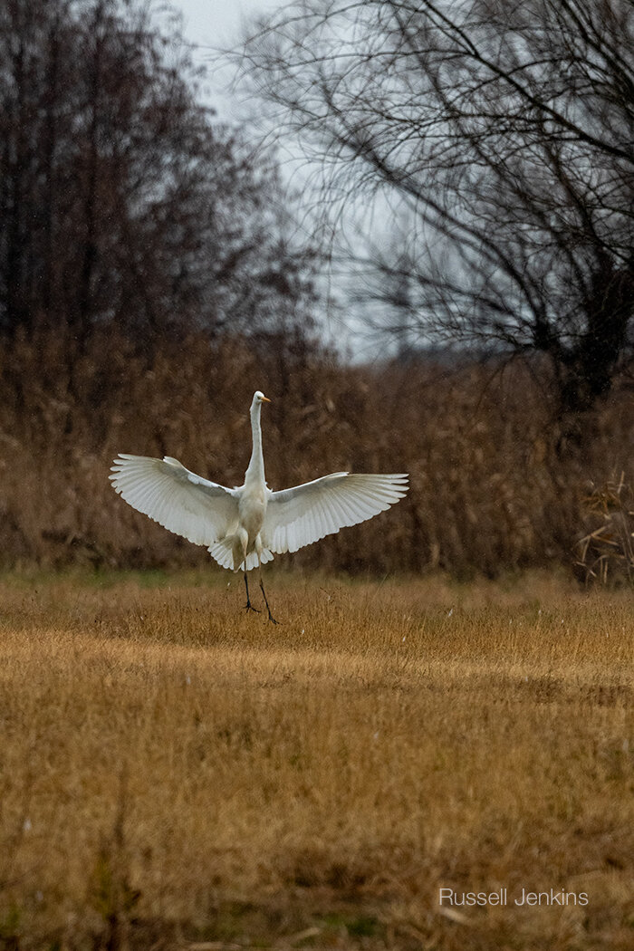 Hyoko, Niigata, Japan. January 2, 2020.