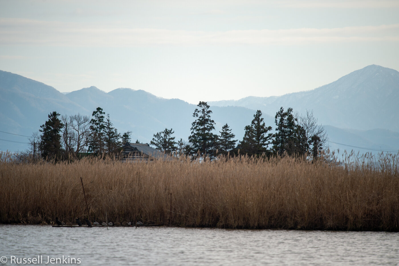 Fine day-1-8.jpg