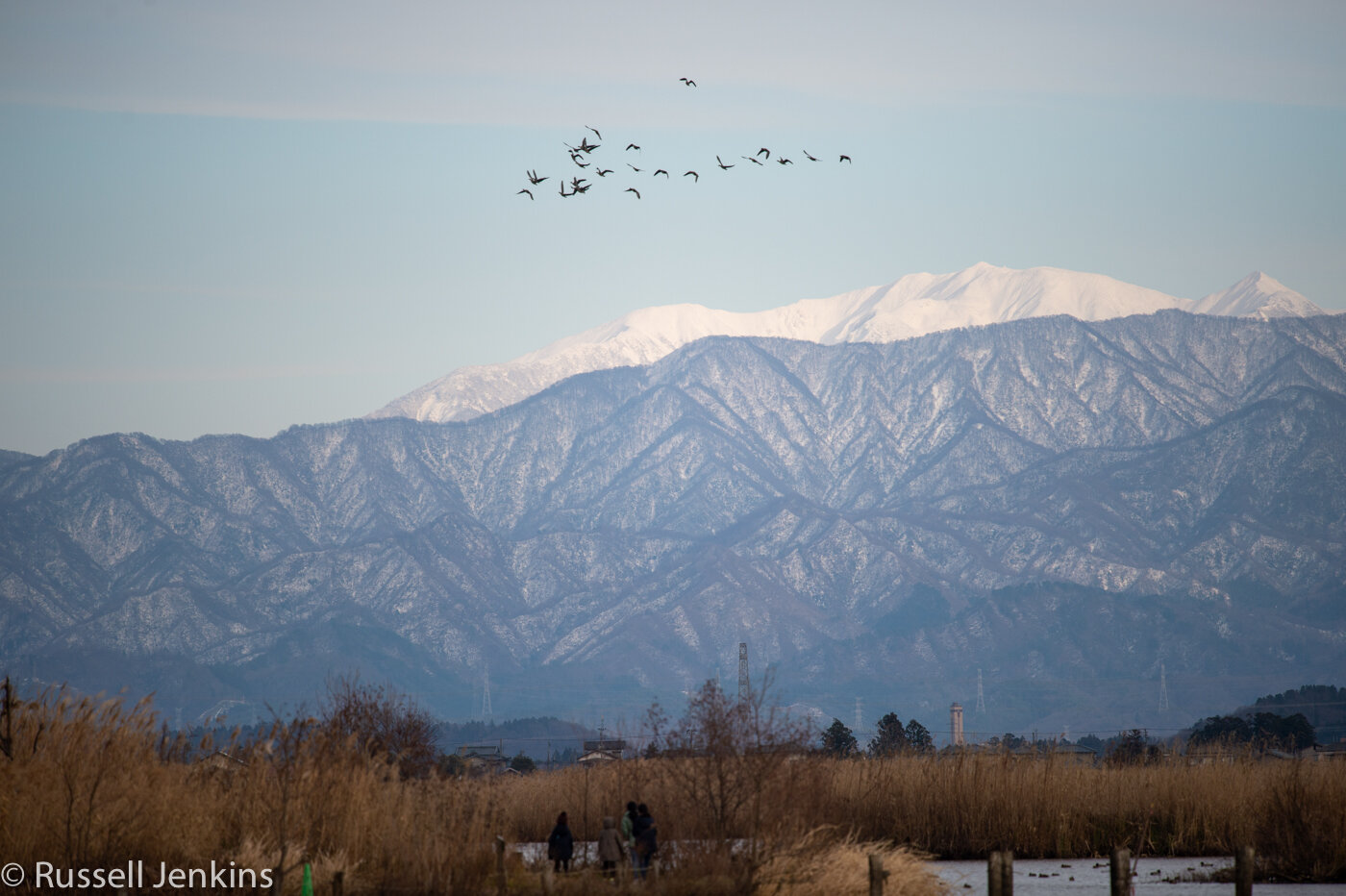 Fine day-1-4.jpg
