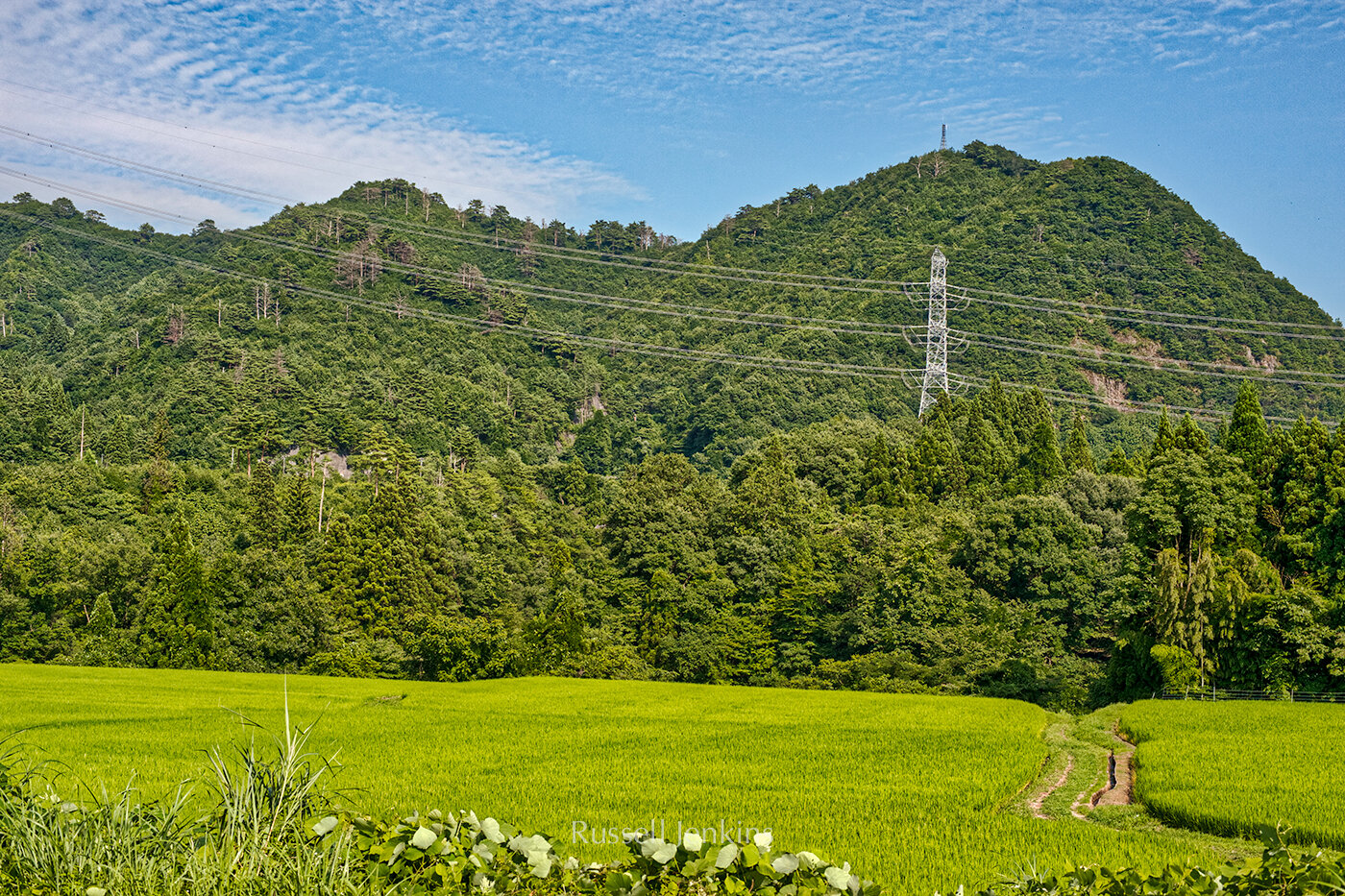Summer near Shibata, Niigata