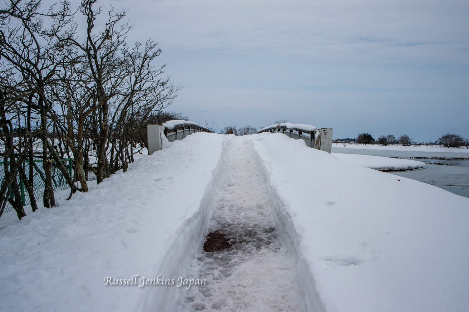  I often stand on this foot bridge but the snow was too deep and it was scary to walk on 