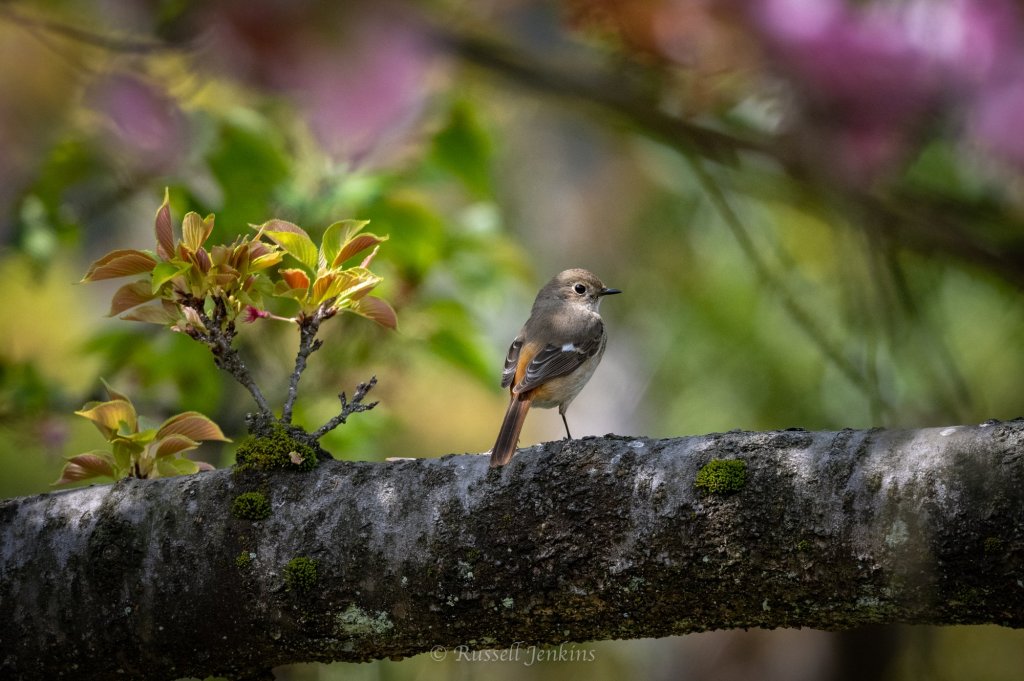 The Seasons, They are a&nbsp;Changing.